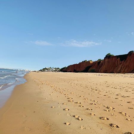 Beach Villa فالي دو لوبو المظهر الخارجي الصورة