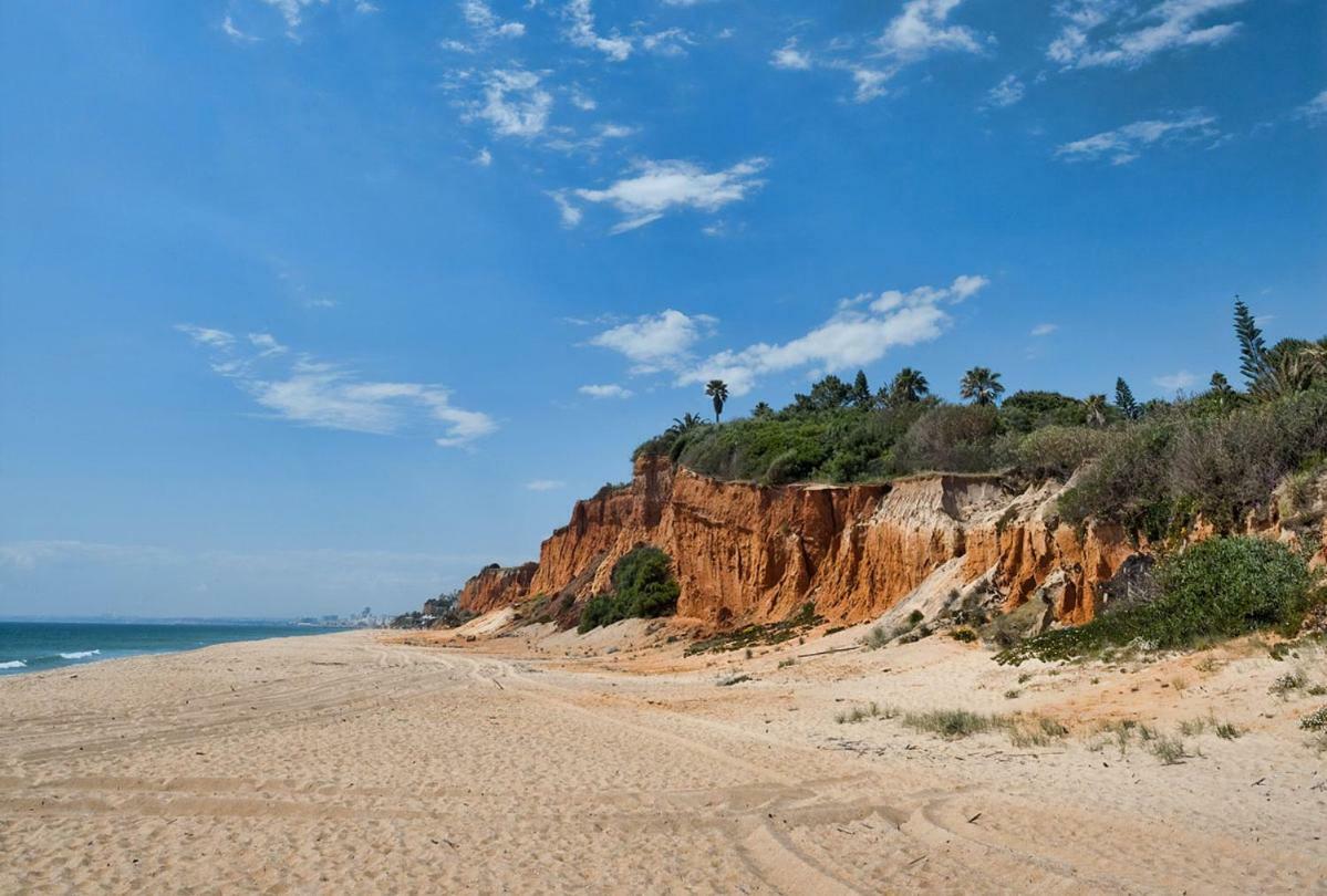 Beach Villa فالي دو لوبو المظهر الخارجي الصورة
